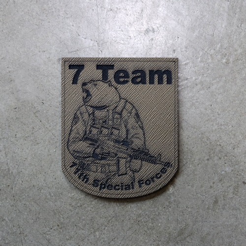 7 Team / 11th Special Forces